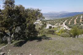 Lush Land with Stunning Views