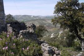 Lush Land with Stunning Views Land