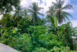 Excellent Plot of land for sale in Puerto Galera The