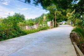 Excellent Plot of land for sale in Puerto Galera The