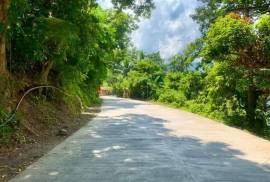 Excellent Plot of land for sale in Puerto Galera The