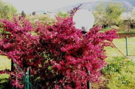 Excellent 4 Bed Villa For Sale in Palestrina Lazio