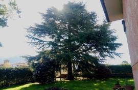 Excellent 4 Bed Villa For Sale in Palestrina Lazio