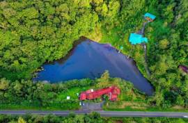 Excellent Commercial Villa B&B & Restaurant For Sale in Costa