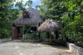 Vida Jungle Resort For Sale in San Martín Quintana Roo