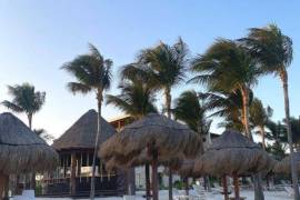 Vida Jungle Resort For Sale in San Martín Quintana Roo