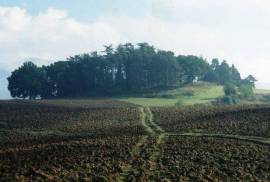 Excellent Plot of land for sale in Anagni Lazio