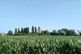 Excellent Plot of land for sale in Silvelle di Trebaseleghe Padua Veneto