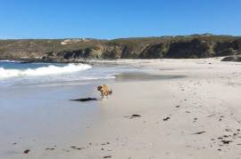 Stunning 3 Bed Home For Sale in Grotto Bay Western Cape South