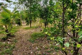 Excellent 2 Bed House & Land For Sale in Granada