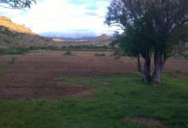 Stunning Farm With Land For Sale in Eastern Cape South