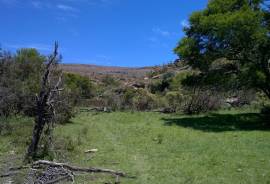 Stunning Farm With Land For Sale in Eastern Cape South