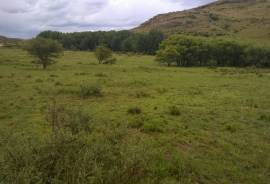 Stunning Farm With Land For Sale in Eastern Cape South