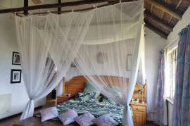 Stunning 4 Bed Thatched House For Sale in Golf View Walkerville Gauteng South