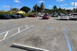 Commercial Shopping Centre For Sale in Miami Florida