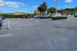 Commercial Shopping Centre For Sale in Miami Florida