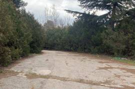 Commercial Building For Redevelopment For Sale In Sighnaghi Region of