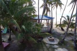 Luxury Private Island For Sale in Grape Cay