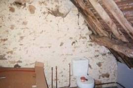 Barn for Renovation For Sale in Badecon-le-Pin Indre Centre Loire Valley