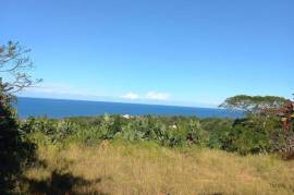 Stunning 6 Bed Villa & Cottage For Sale in Marina Beach Kwa-Zulu South