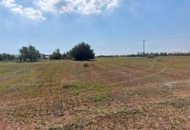Excellent Plot of land for sale in Avgorou village Famagusta South