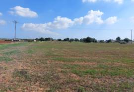 Excellent Plot of land for sale in Avgorou village Famagusta South