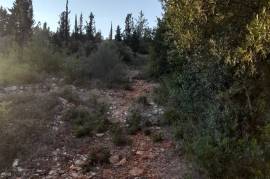 Excellent Plot of land for sale in Lefkada Greece Near Kathisma