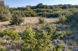 Excellent Plot of land for sale in Lefkada Greece Near Kathisma