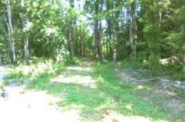 Stunning 4 Bedroom Eco House For Sale in Lessac Charente