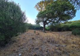 Excellent Plot of land for sale in Sassari Sardinia