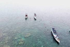Arys Lagoon Resort For Sale in Kemujan Island Karimunjawa