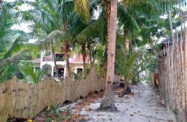 Arty Party Beach Hostel for Sale in Solangon San Juan