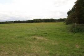 Long meadow farm for sale in Wisbech Cambridgeshire