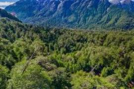 Excellent 479 Hectares Plot of land for sale in the Chilean Patagonia