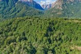 Excellent 479 Hectares Plot of land for sale in the Chilean Patagonia