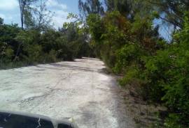 Excellent Plot of land for sale in Andros Island Nassau