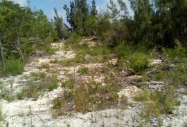 Excellent Plot of land for sale in Andros Island Nassau