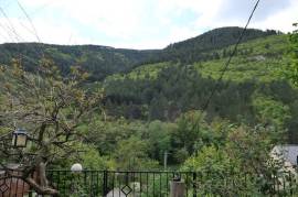 Beautiful 2 Bed House with Gite For Sale in Gorges du Tarn Lozere Languedoc-Roussillon