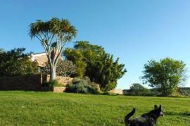 Excellent 4 Bed Property for Sale in Bathurst Eastern Cape South