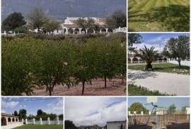 Superb Finca Developed into 4 Self Contained Apartments For Sale in Pinoso Alicante