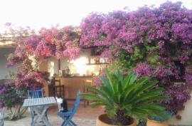Stunning 5 Bed Cortijo del Sevillano/Finca with separate Studio for sale in Cuevas del Almanzora Almeria