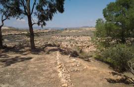 Stunning 5 Bed Cortijo del Sevillano/Finca with separate Studio for sale in Cuevas del Almanzora Almeria