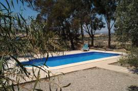 Stunning 5 Bed Cortijo del Sevillano/Finca with separate Studio for sale in Cuevas del Almanzora Almeria