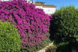 2 Stunning Properties with 5 bedrooms for sale in Gaucin Malaga Andalucia