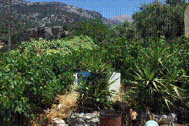 Luxury 3 bed House for Sale in Agios Vasileios Crete