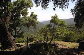 Excellent Plot of land for sale in El Colmenar Andalusia
