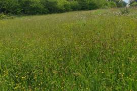 Land for sale - 1 980 m2 - MONTENEUF - (56380)