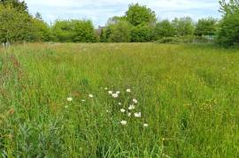 Land for sale - 1 980 m2 - MONTENEUF - (56380)