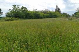 Land for sale - 1 980 m2 - MONTENEUF - (56380)