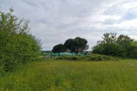 Land for sale - 1 980 m2 - MONTENEUF - (56380)